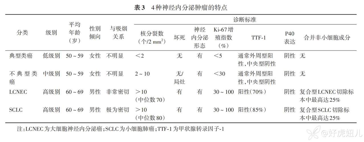 今日科普一下！28岁男艺人肺癌晚期,百科词条爱好_2024最新更新