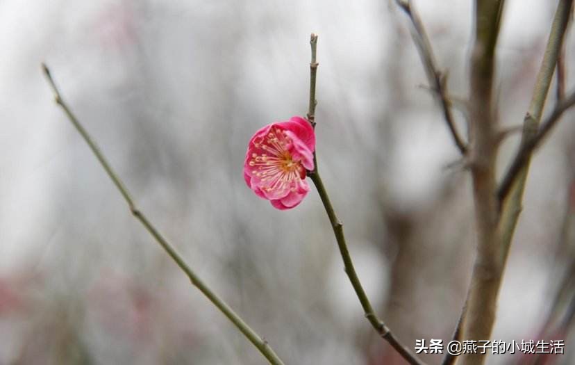 今日科普一下！母女落水钓鱼佬出手,百科词条爱好_2024最新更新