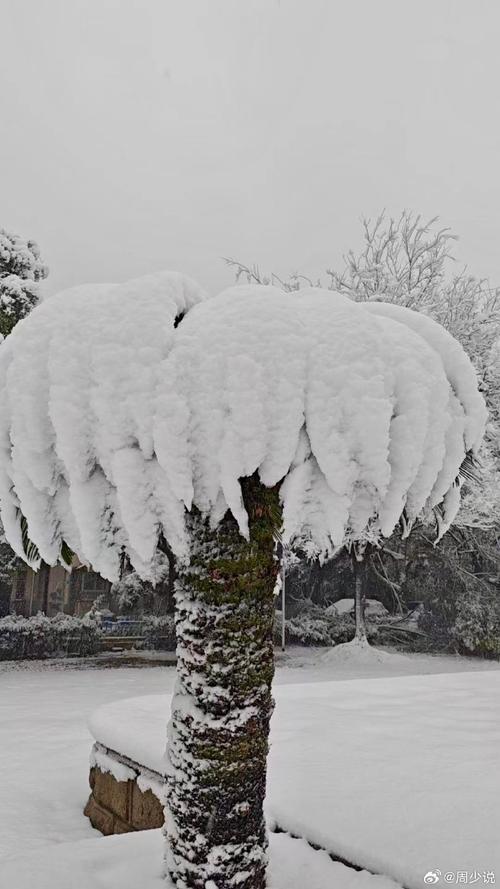 今日科普一下！南方大范围降雪来袭,百科词条爱好_2024最新更新