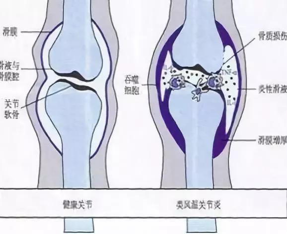 今日科普一下！眼睛不适患不死癌症,百科词条爱好_2024最新更新