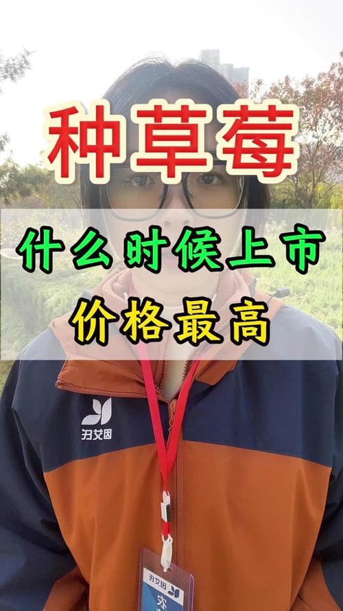 今日科普一下！车厘子快比草莓便宜,百科词条爱好_2024最新更新