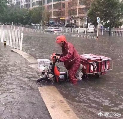 今日科普一下！司机接电话撞死老人,百科词条爱好_2024最新更新