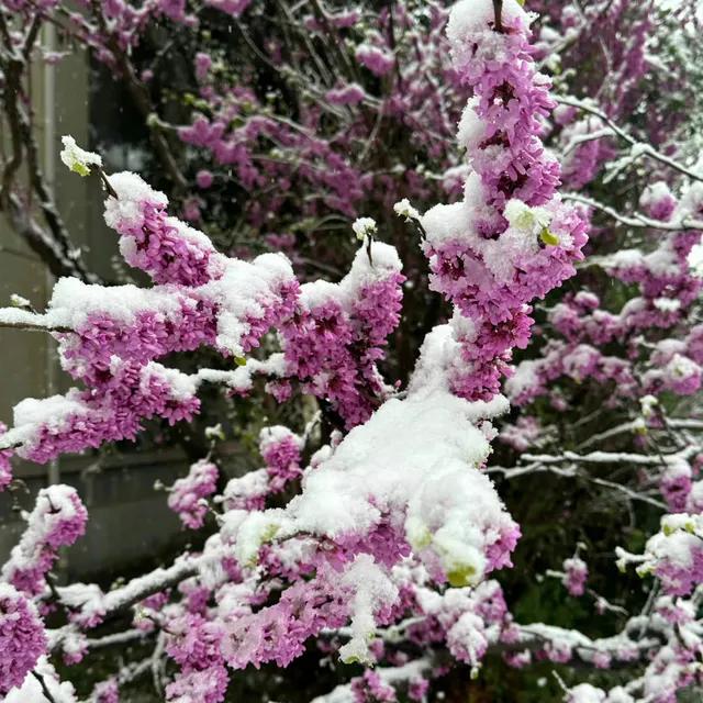 今日科普一下！河南暴雪10到18毫米,百科词条爱好_2024最新更新